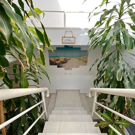 Casa Del Arbol