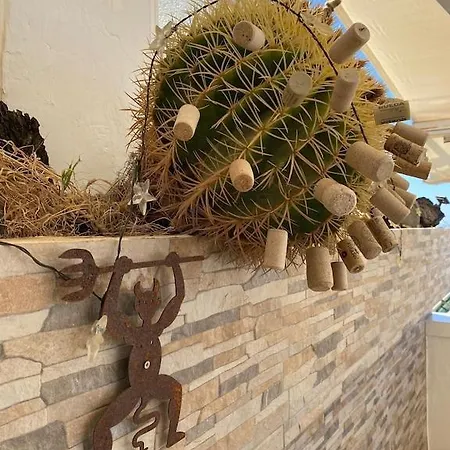 Appartement Casa Del Arbol Puerto del Carmen (Lanzarote)
